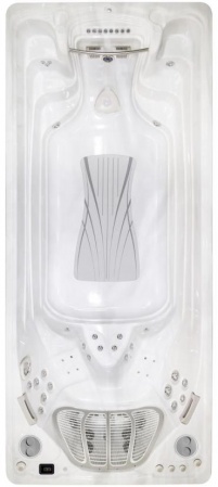 Бассейн с противотоком Hydropool Executive Sport 19EX